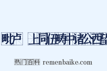 毗卢閤上同伍畴中诸公西望是什么意思的图片